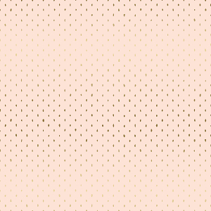C+S Basics: Stitch and Repeat in Blush