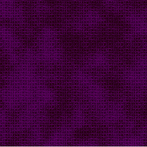天梵 Geeta 2023 Japanese Scarlet & Violet: Ruler of the Black