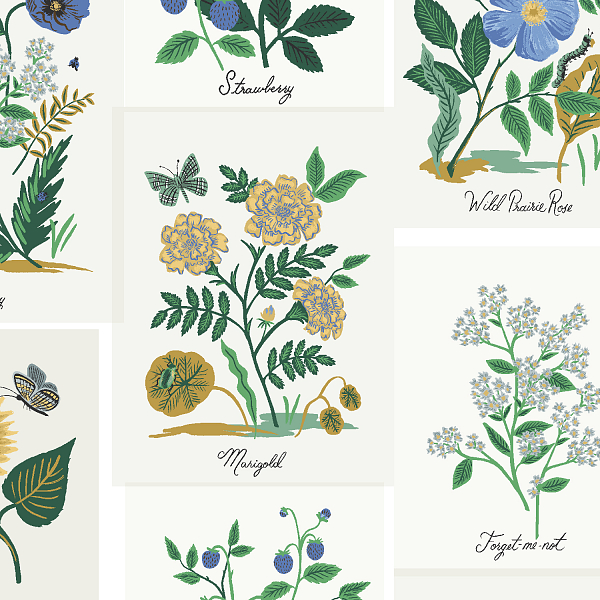 Curio: Botanical Prints in Blue Curio: Botanical Prints in Blue